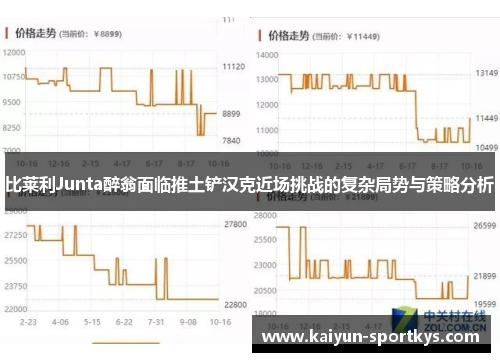 比莱利Junta醉翁面临推土铲汉克近场挑战的复杂局势与策略分析