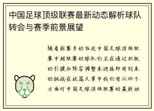 中国足球顶级联赛最新动态解析球队转会与赛季前景展望