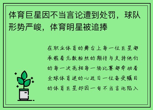体育巨星因不当言论遭到处罚,球队形势严峻,体育明星被追捧